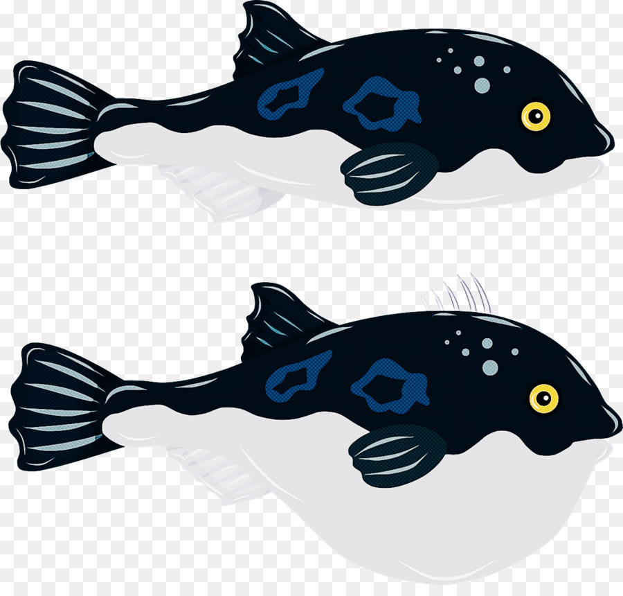 Azul Cobalto，Peixe PNG