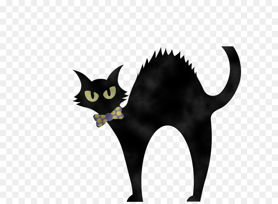 Gato Preto，Bigodes PNG