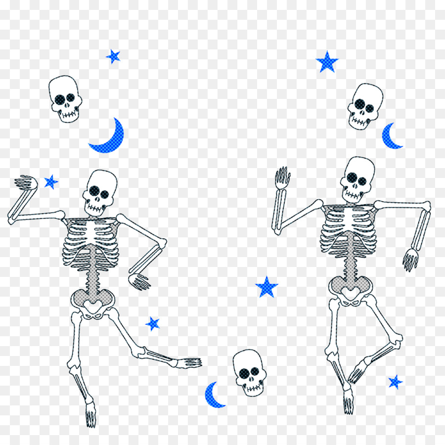 Esqueleto，Comum PNG