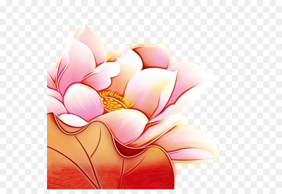 Flor De Lótus，Rosa PNG