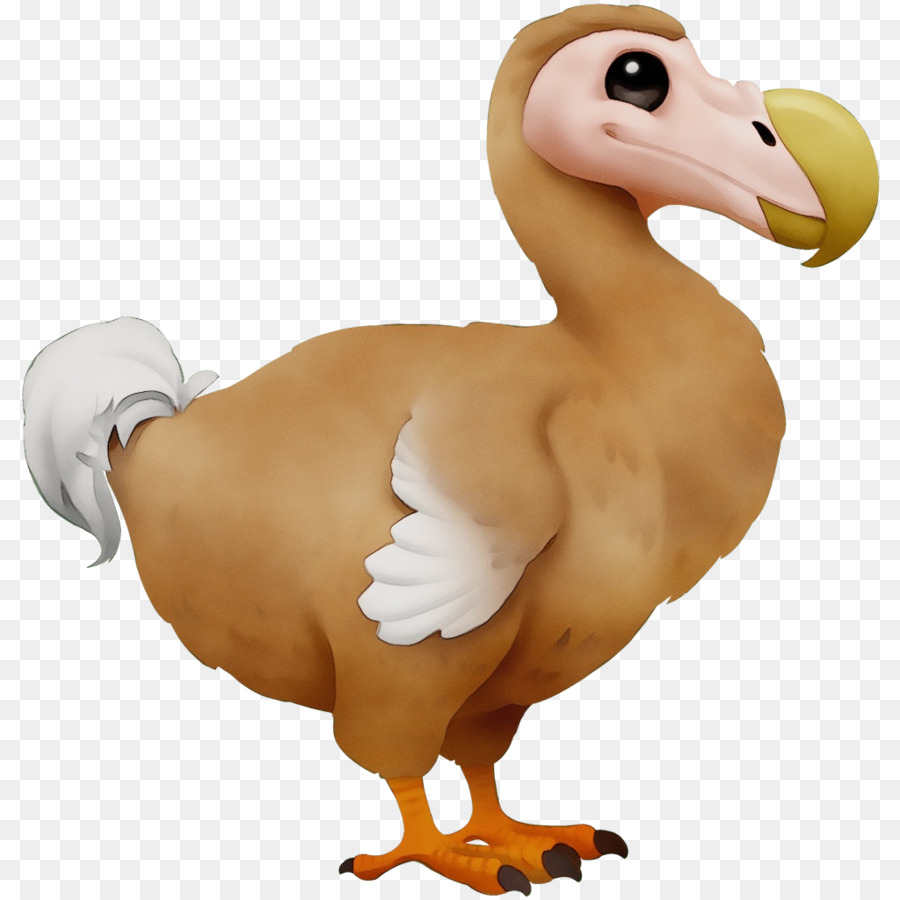 Pato，Aves PNG