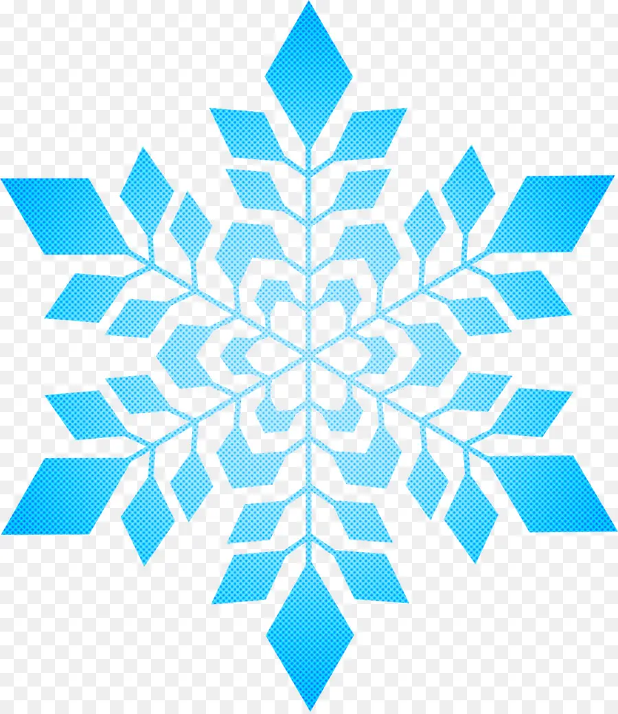 Floco De Neve，Logo PNG