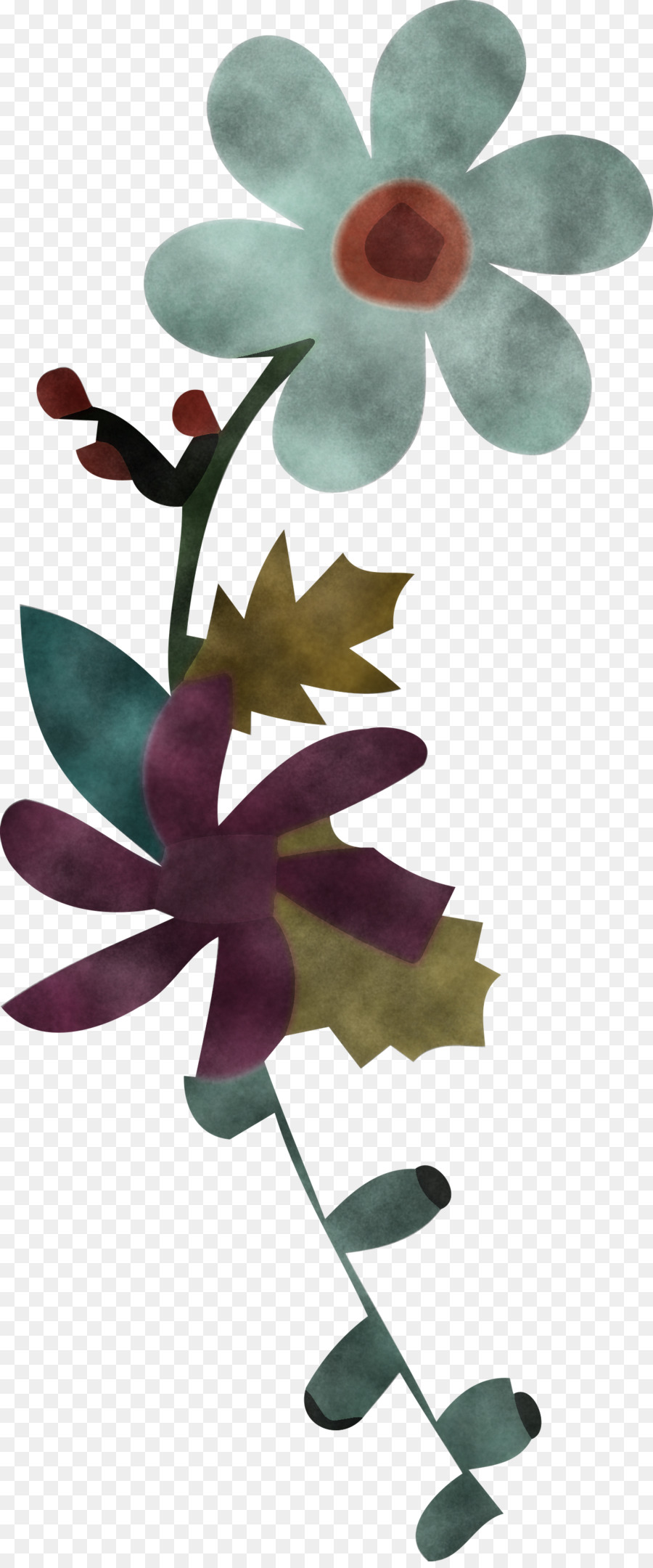 Planta De Haste，Flor PNG