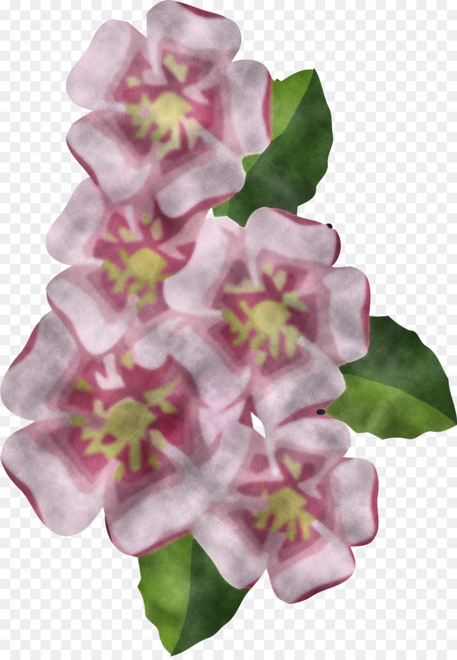 Flores De Corte，Planta Herbácea PNG