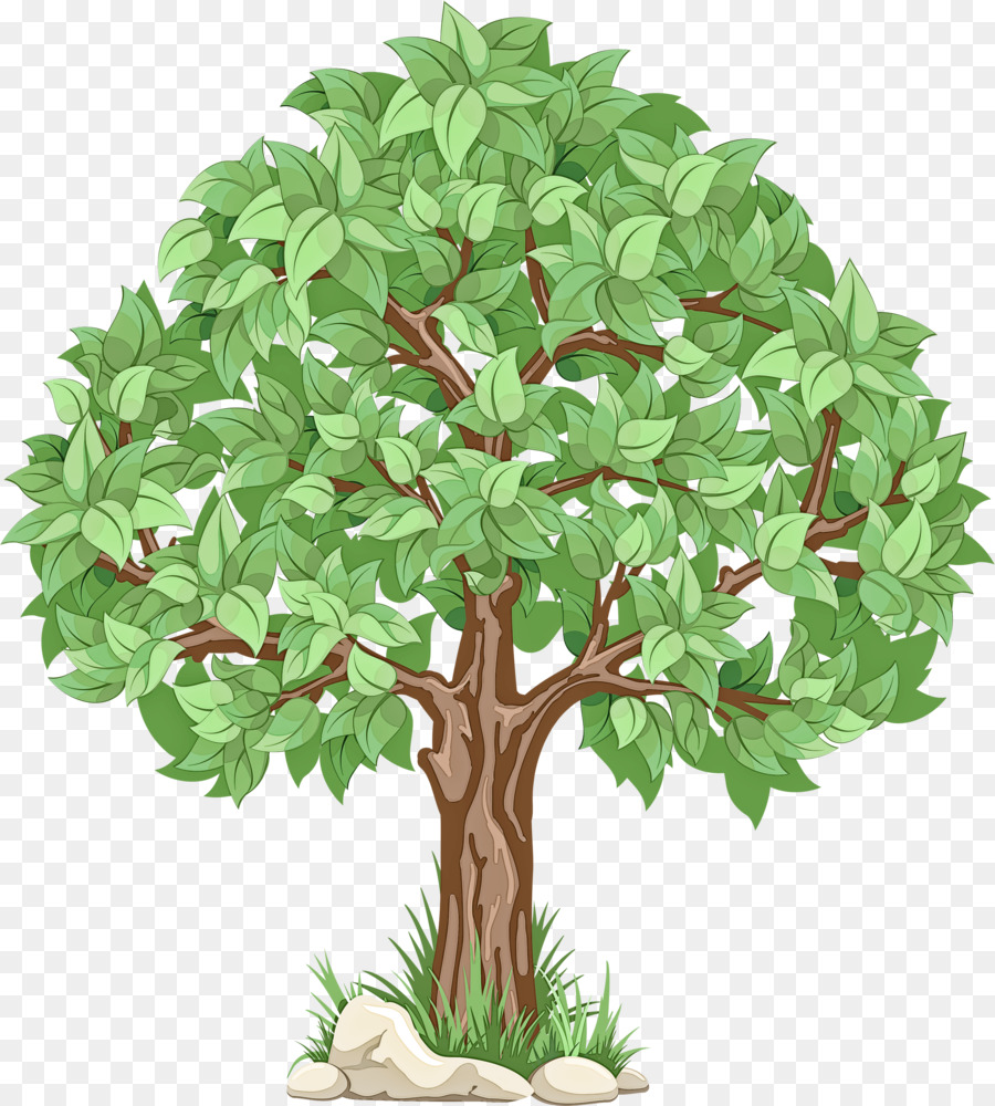 Planta De Casa，árvore PNG