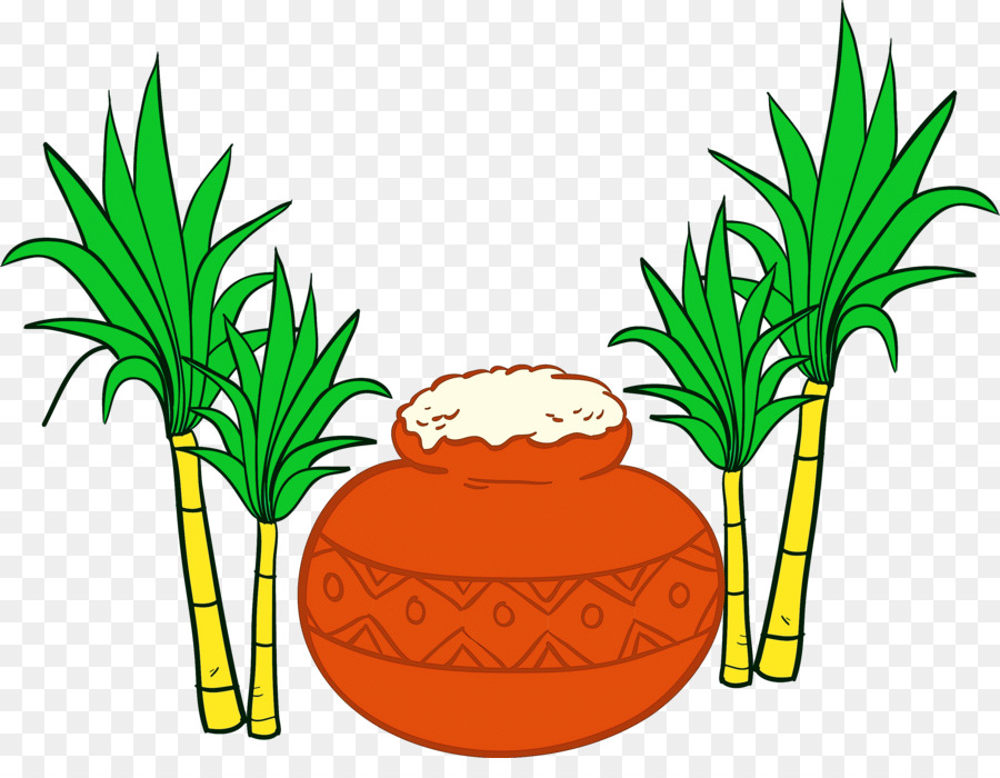 Desenho，Sugarcane PNG