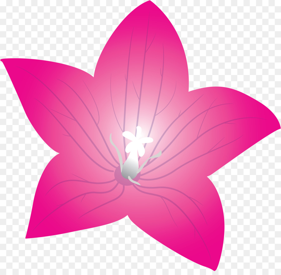 Flor Laranjeira，Florescer PNG