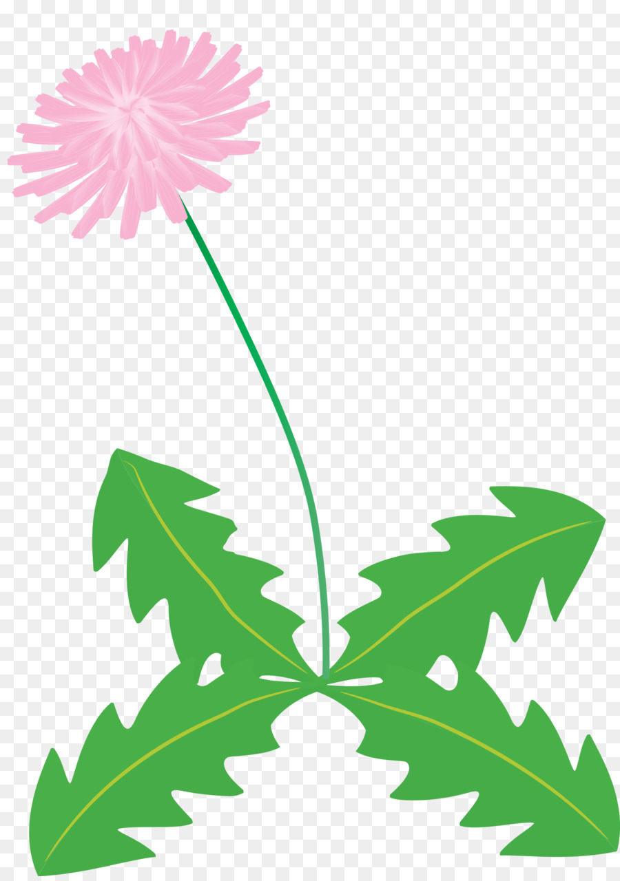 Flor，Pedicel PNG