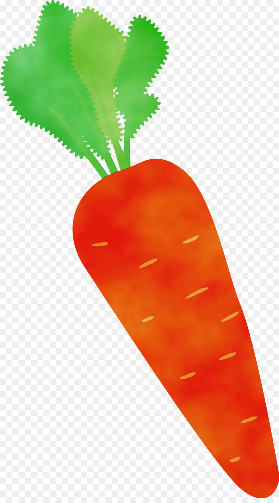 Vegetal，Frutas PNG