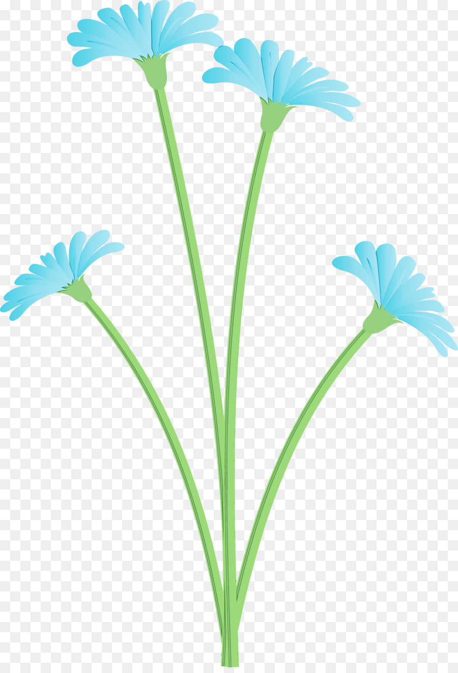 Planta De Haste，Daisy Família PNG