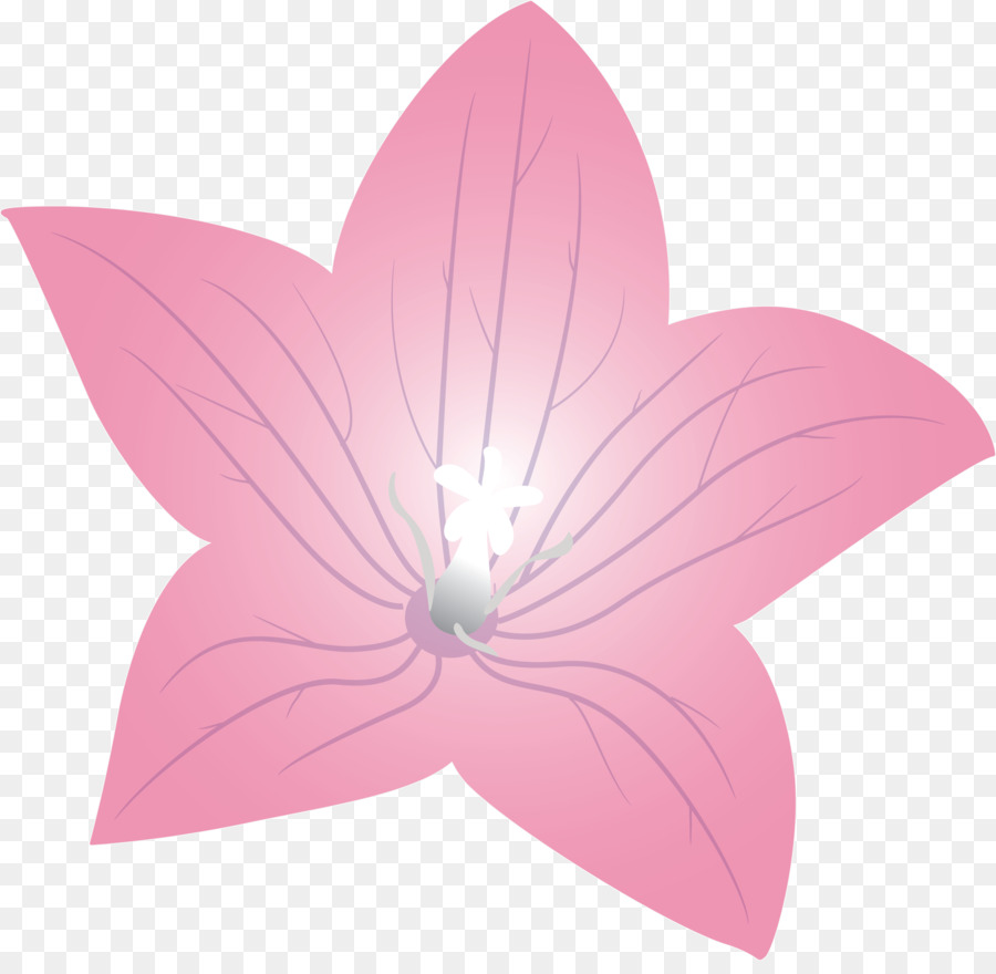 Flor Laranjeira，Florescer PNG