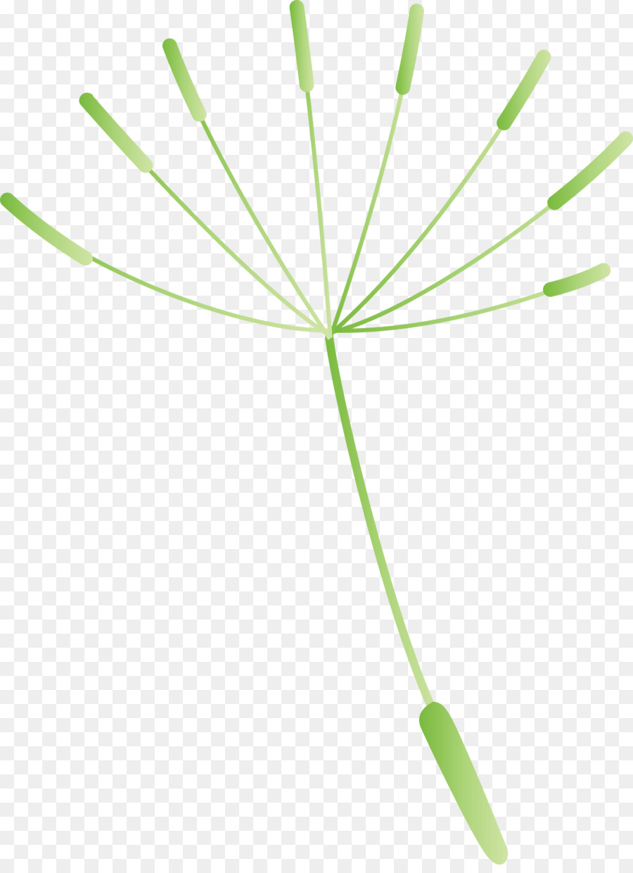 Semente De Dente De Leão，Flor PNG