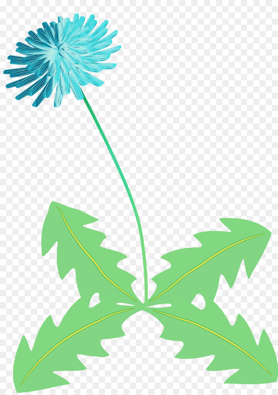 Flor，Pedicel PNG