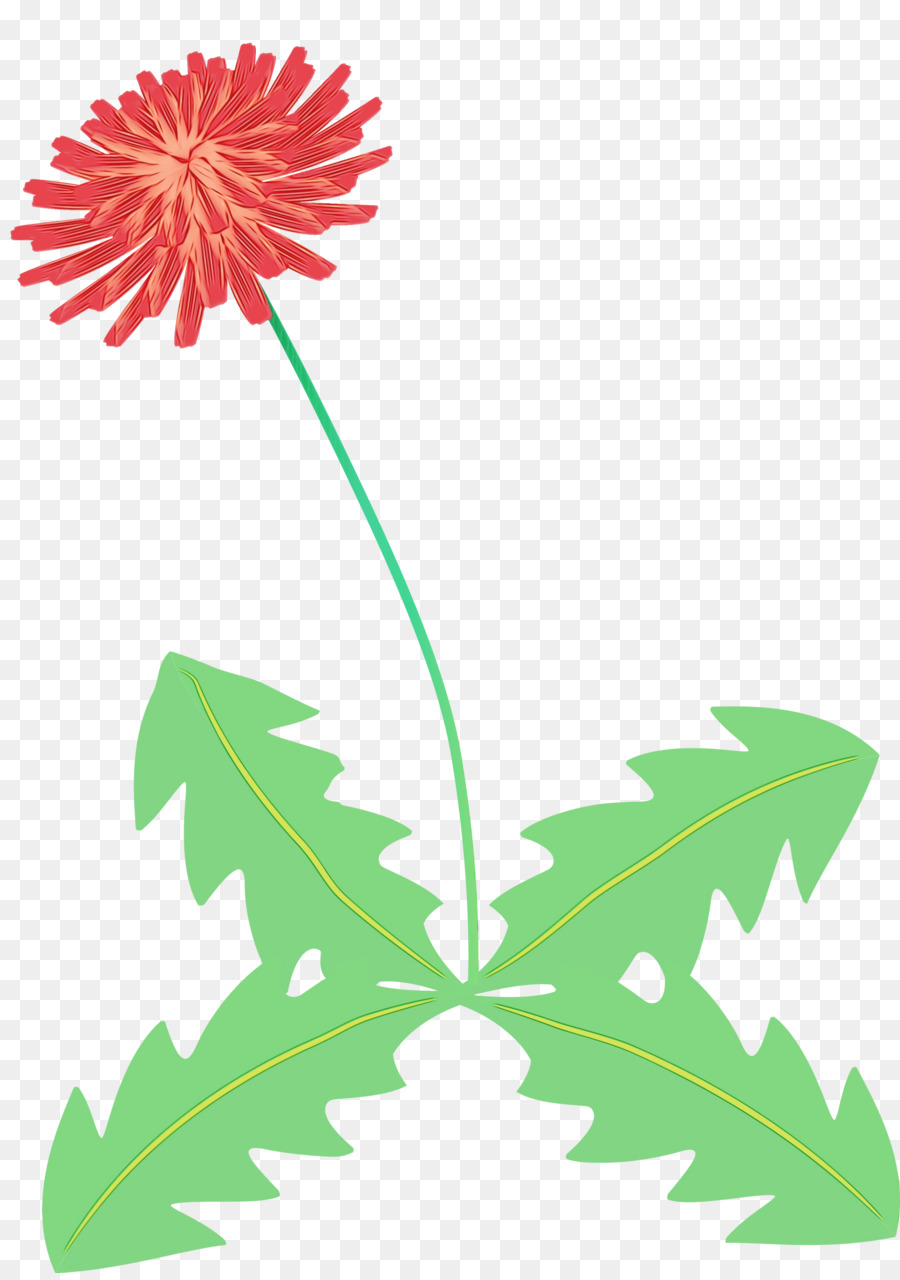 Flor，Pedicel PNG