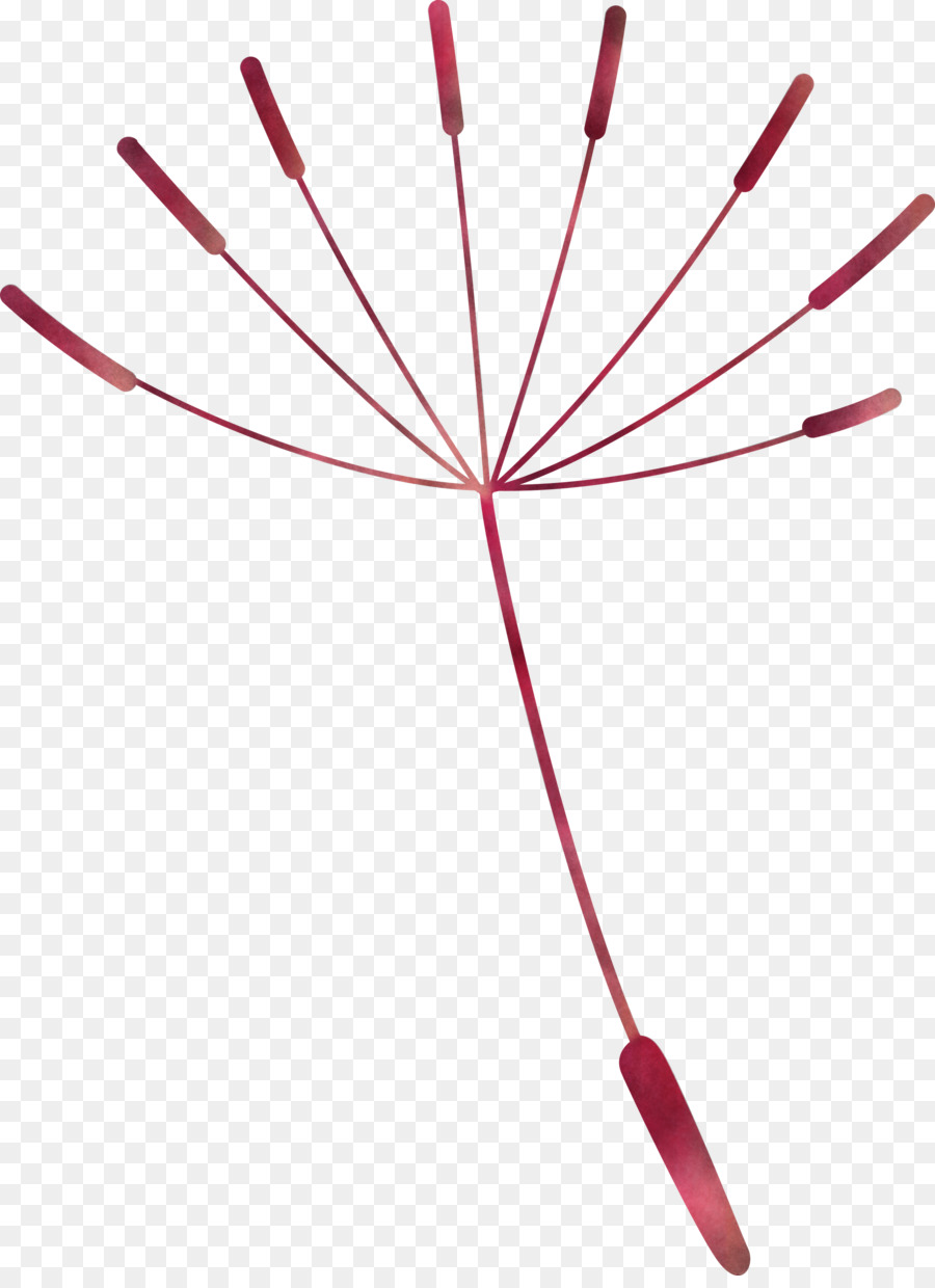 Semente De Dente De Leão，Flor PNG