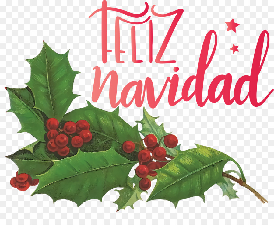 Christmas Day，Enfeite De Natal PNG