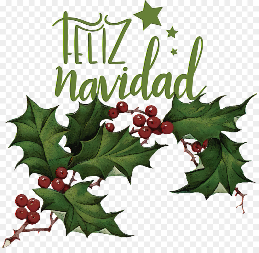 Feliz Natal，Azevinho PNG