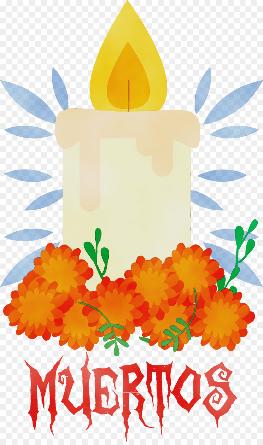 Design Floral，Folha PNG