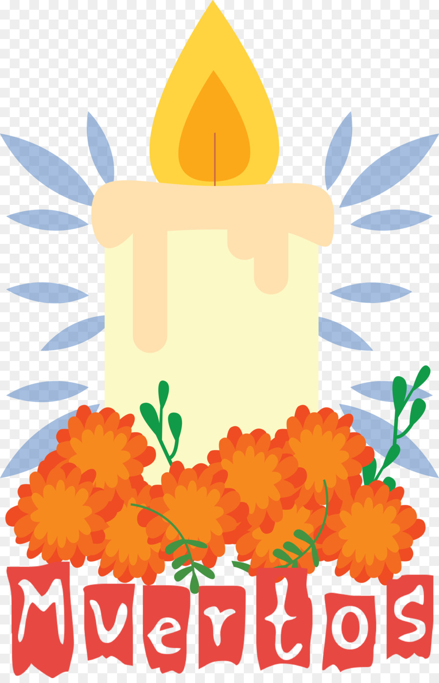 Design Floral，Folha PNG