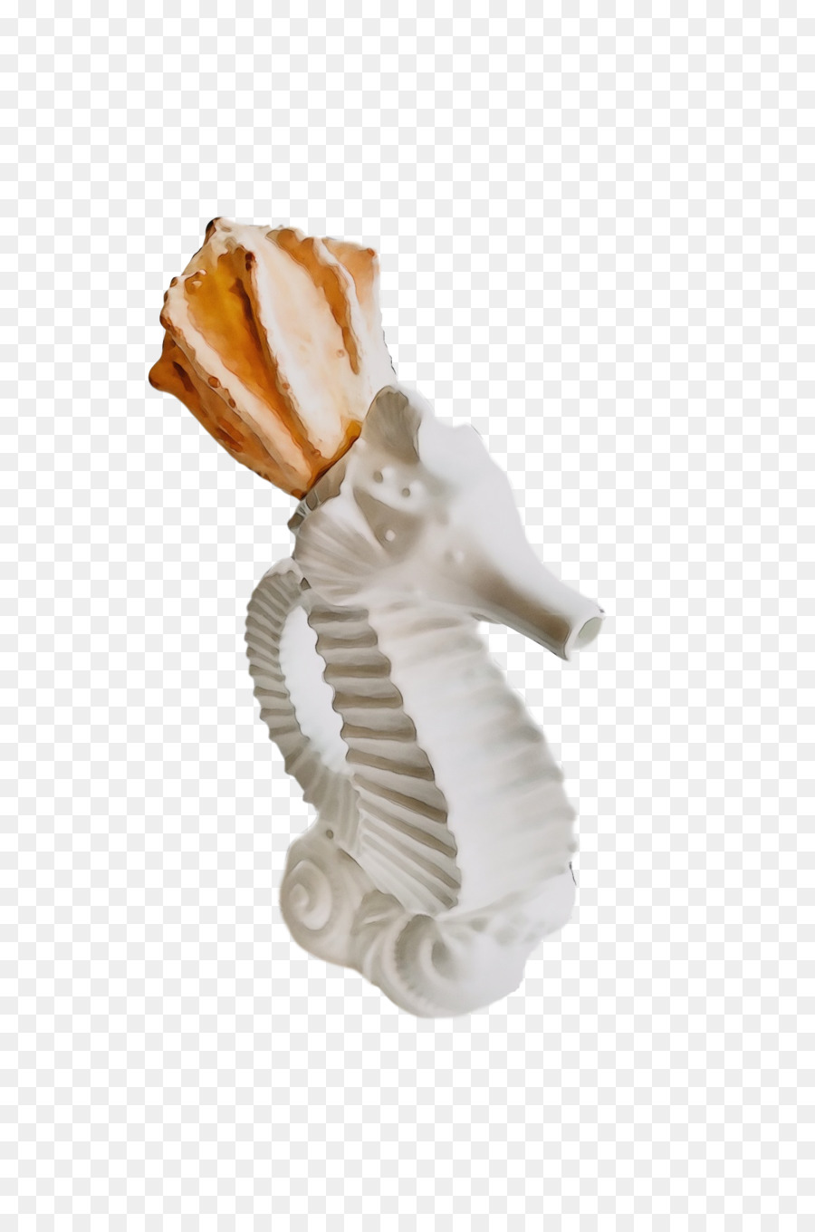 Shankha，Seashell PNG