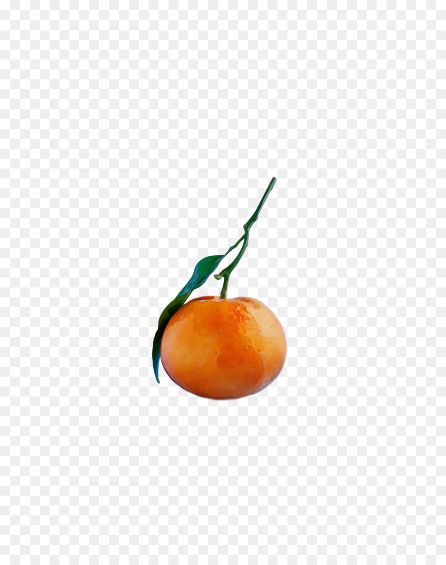 Toranja，Laranja Amarga PNG