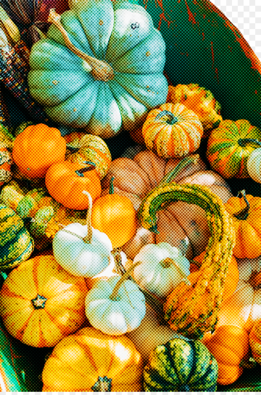 Squash，Cabaça PNG