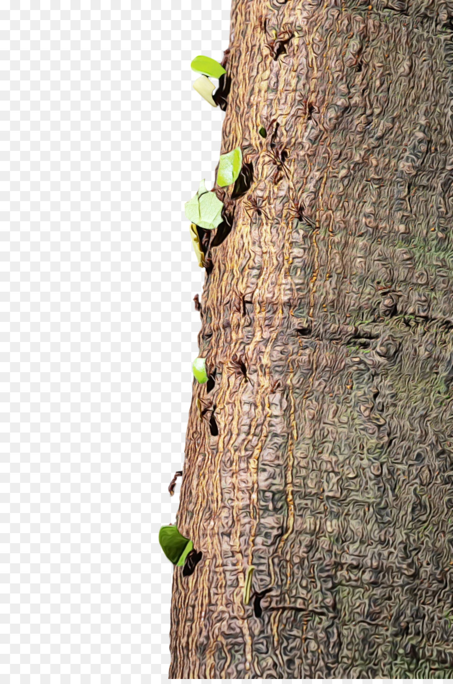 Caule Da Planta，Galho PNG