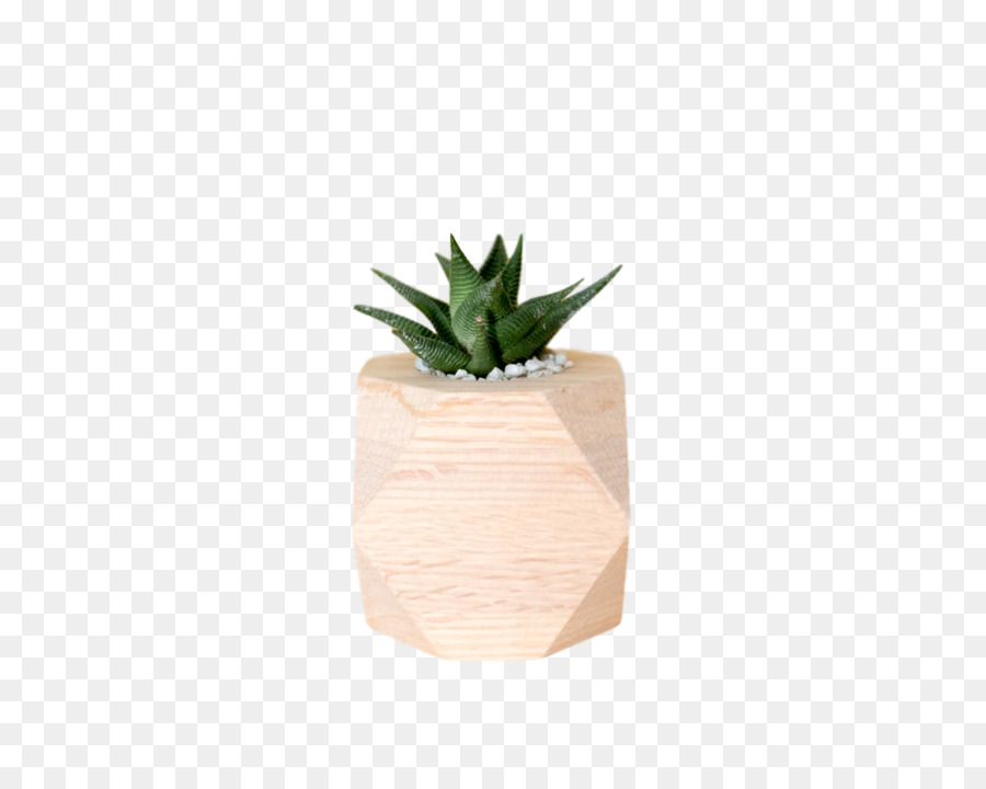 Plantas，Flowerpot PNG