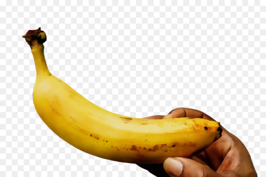 Cooking Banana，Banana PNG