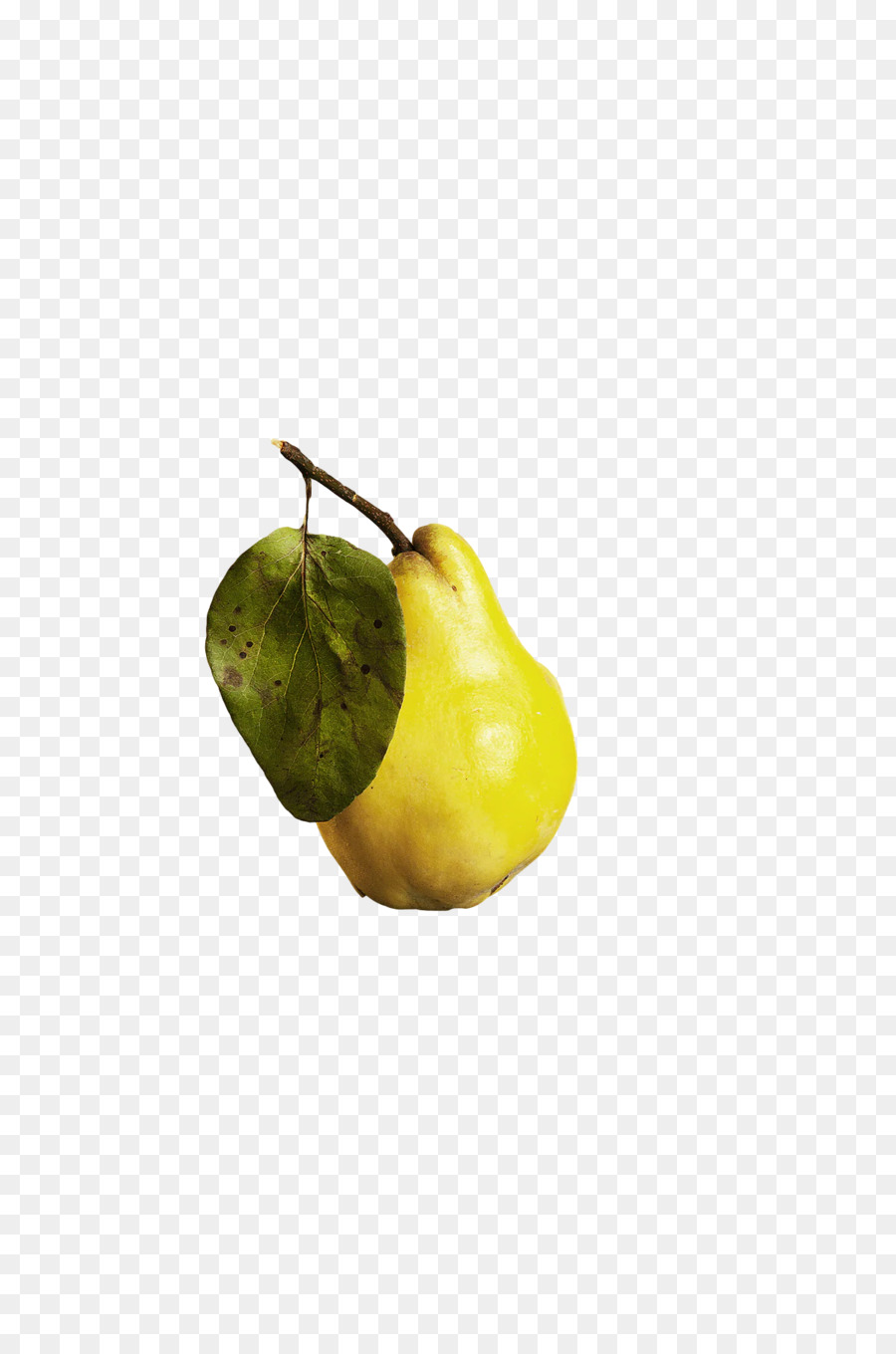 Citron，Plantas PNG