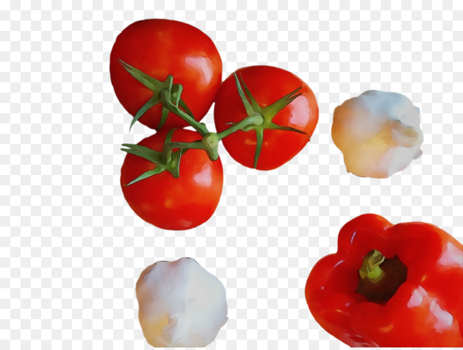 Tomates，Vegetal PNG