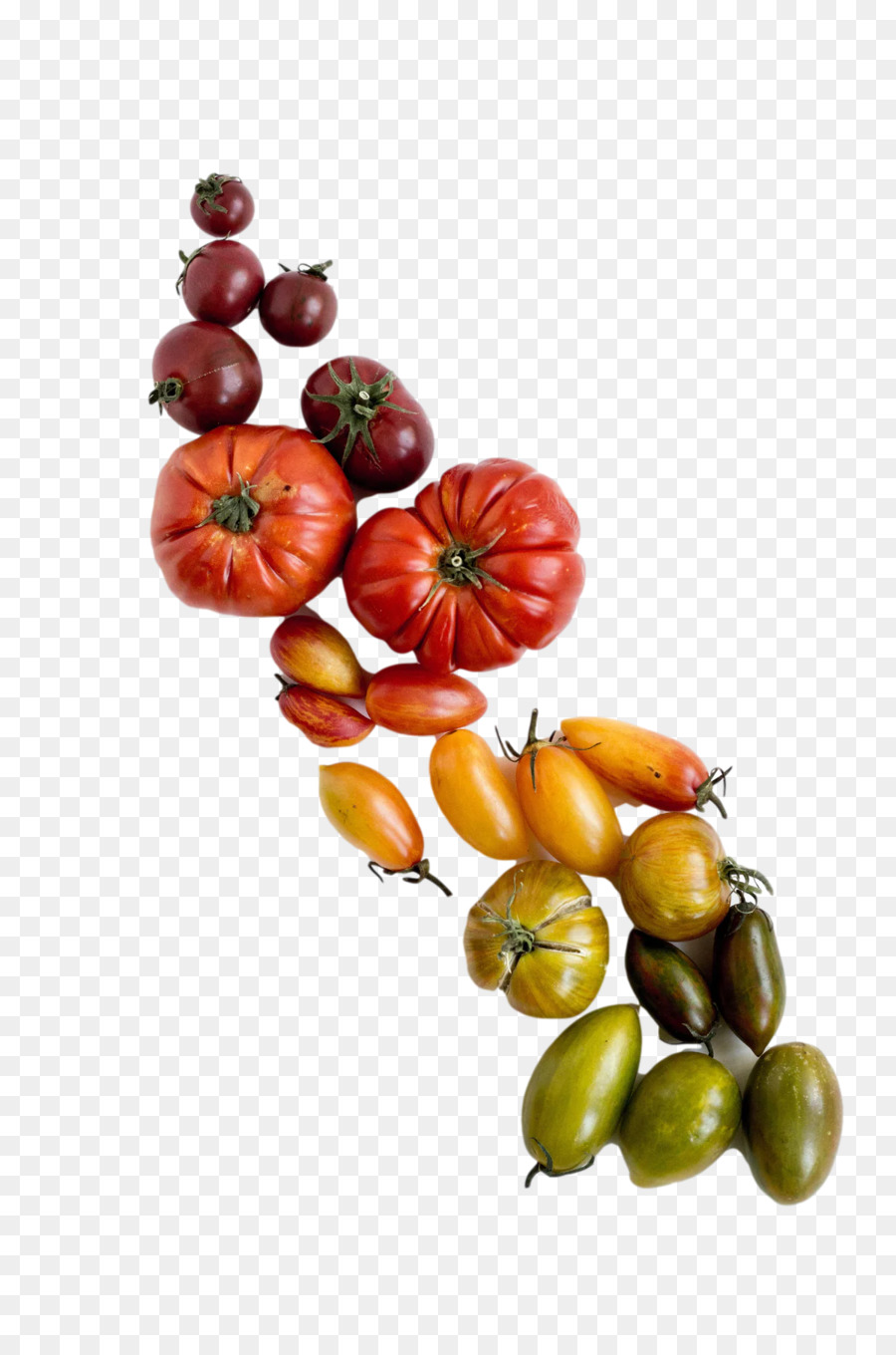 Tomate，Cozinha Vegetariana PNG