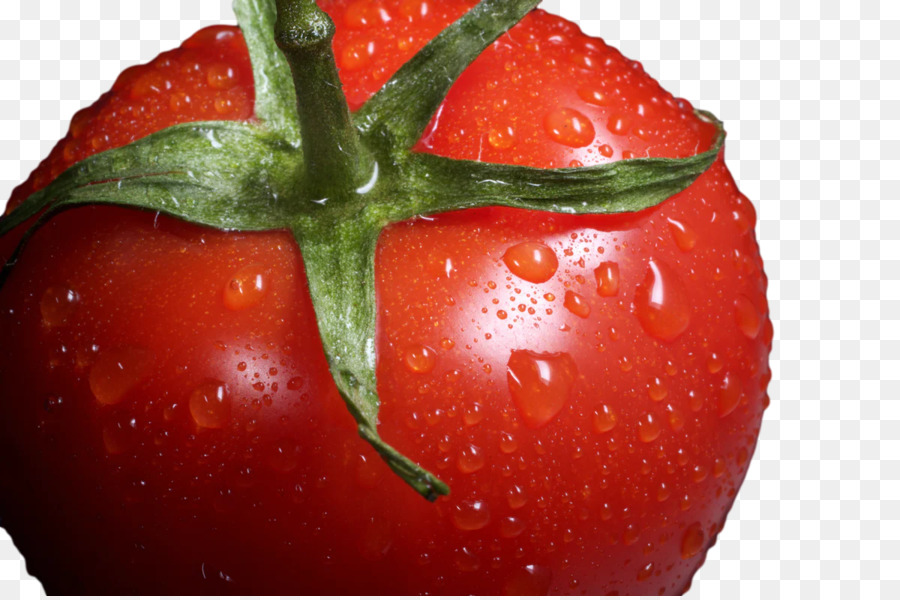 Tomate，Nutrientes PNG