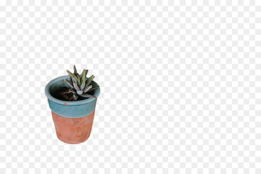 Plantas，Flowerpot PNG