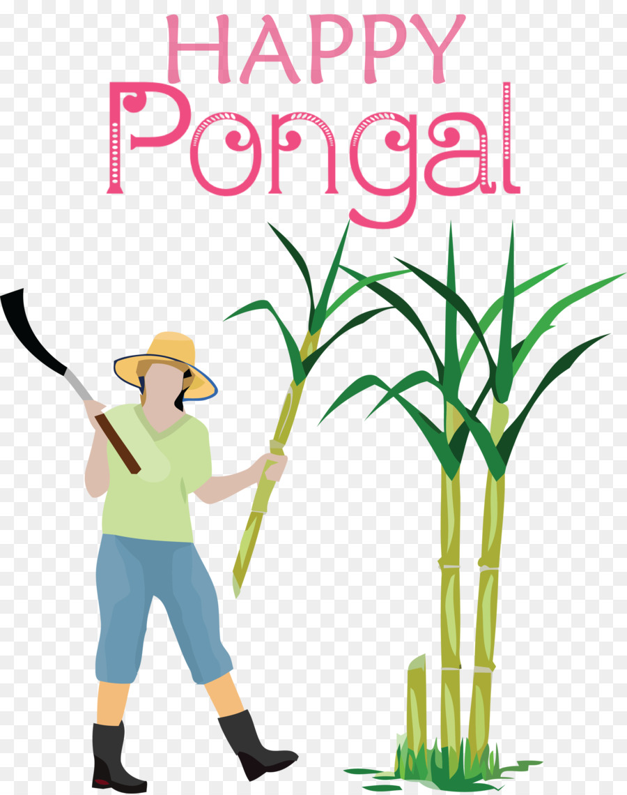 Royaltyfree，Sugarcane PNG