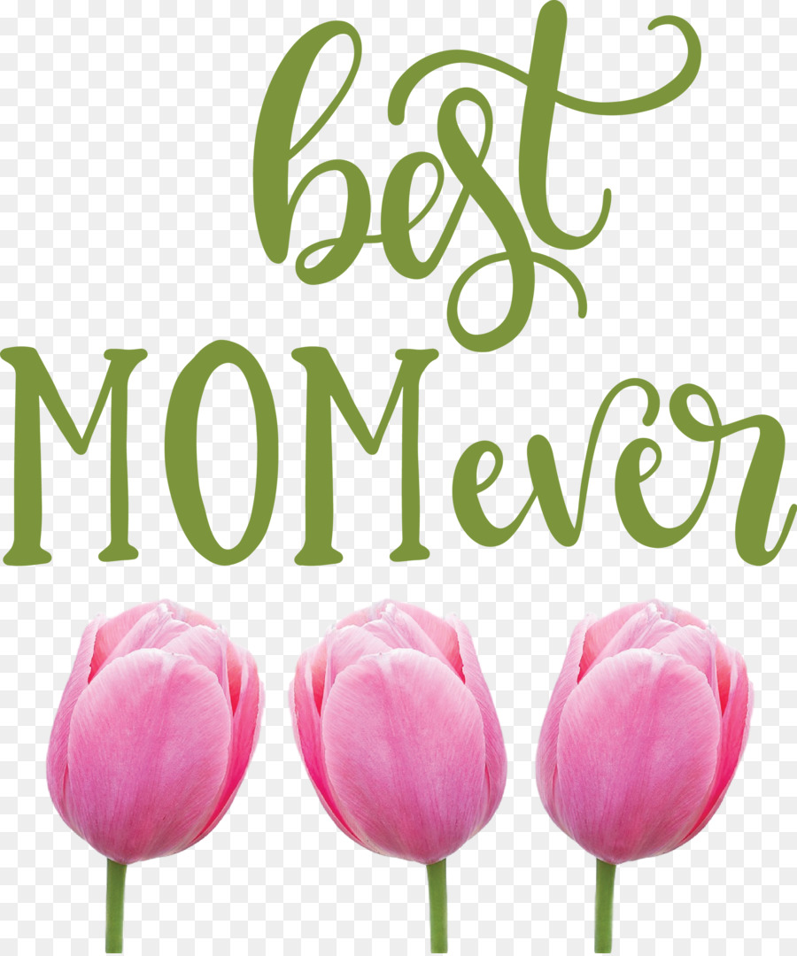 Dia Das Mães，Flor PNG
