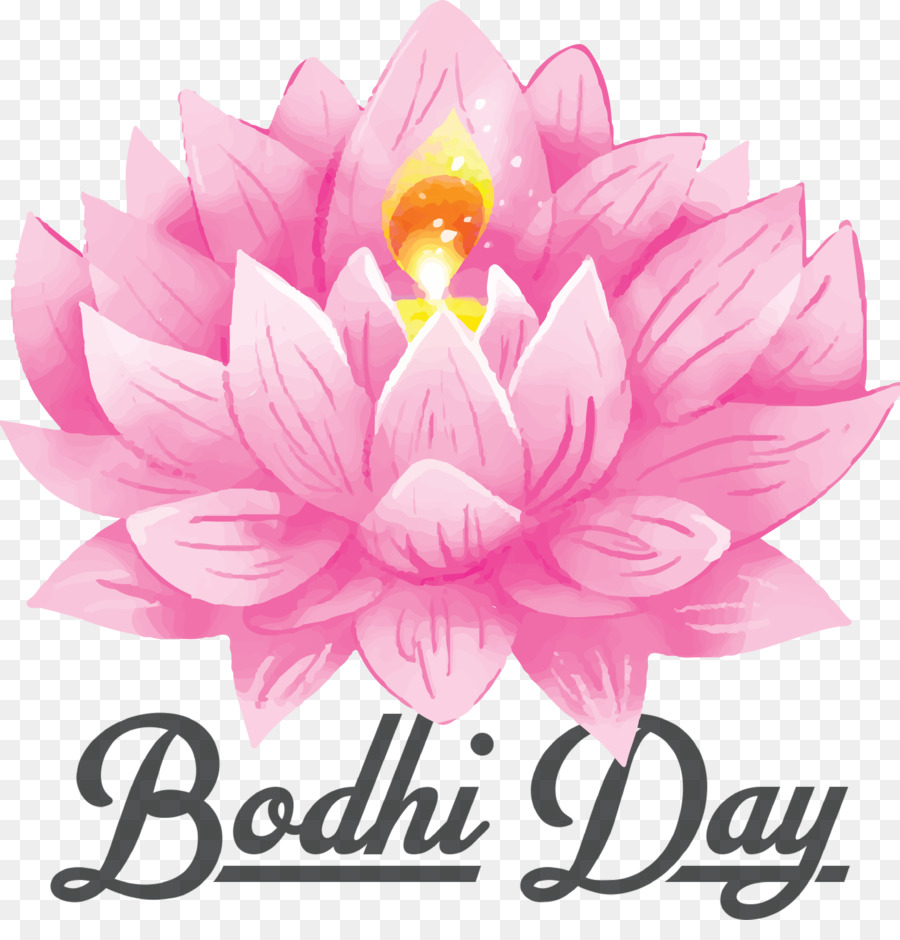 Dia De Bodhi，Lótus PNG