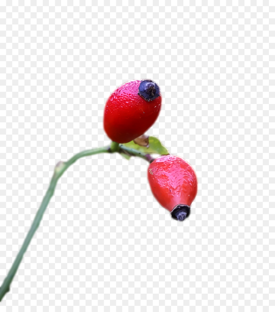 Subiu Quadril，Frutas PNG