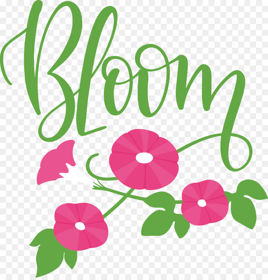 Design Floral，Folha PNG