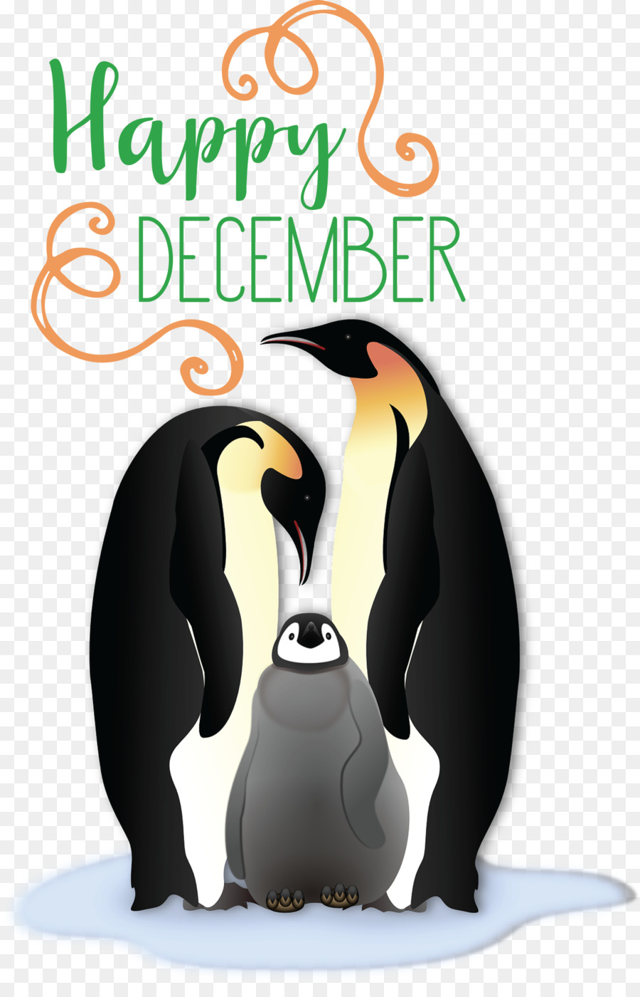 Pinguim Rei，Aves PNG