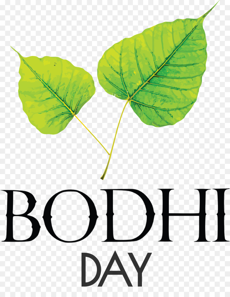 Dia De Bodhi，Folha PNG