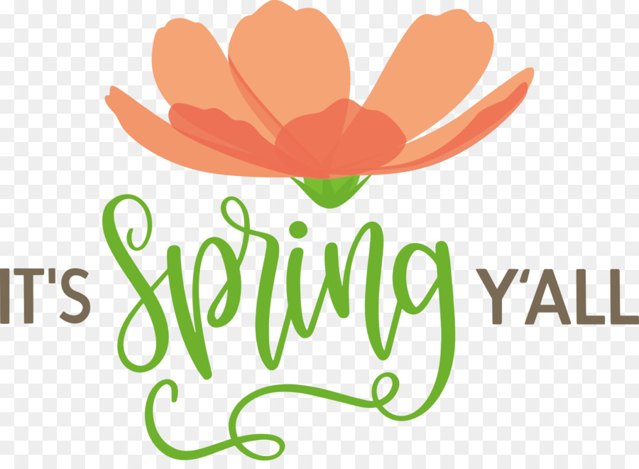 Design Floral，Logo PNG