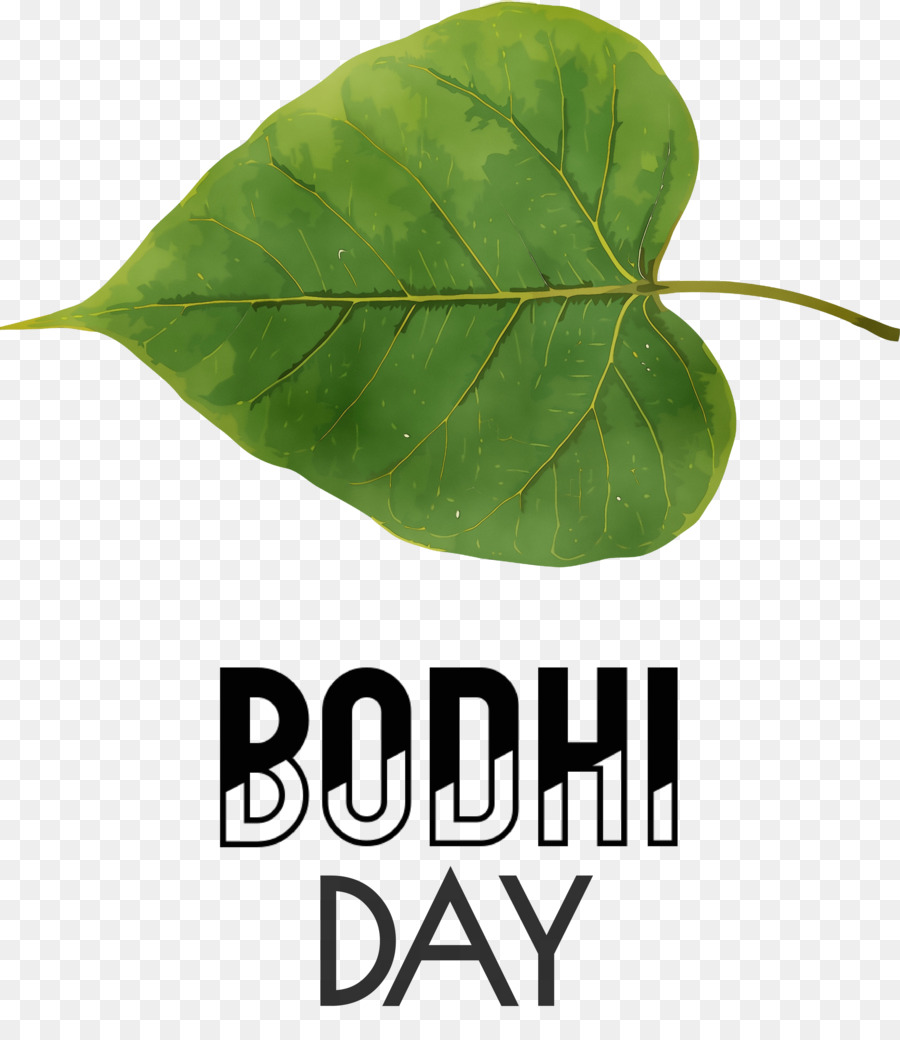 Dia De Bodhi，Folha PNG