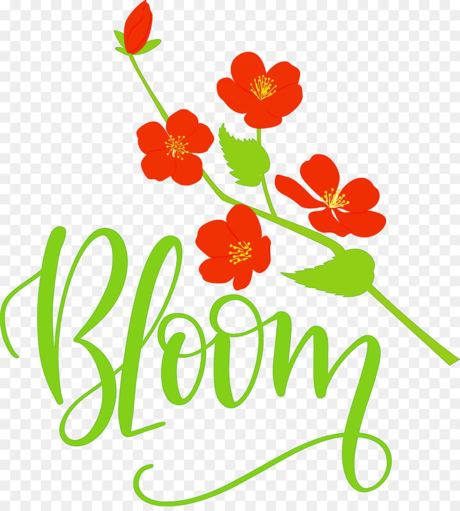 Design Floral，Folha PNG