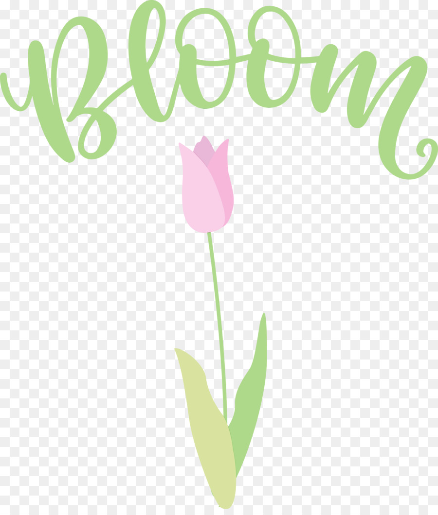 Design Floral，Folha PNG