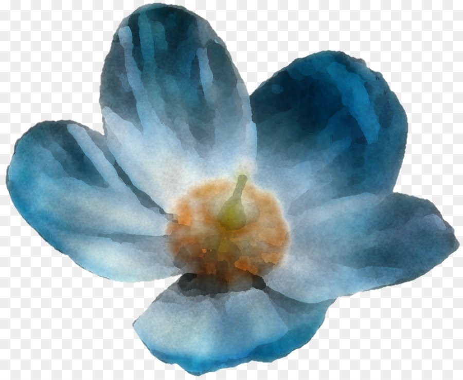 Flor Azul，Pétalas PNG