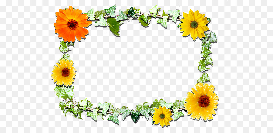 Design Floral，Daisy Família PNG