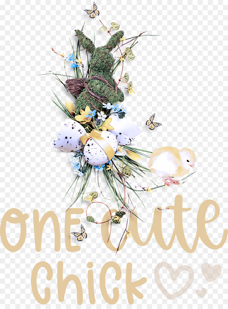 Design Floral，Aves PNG