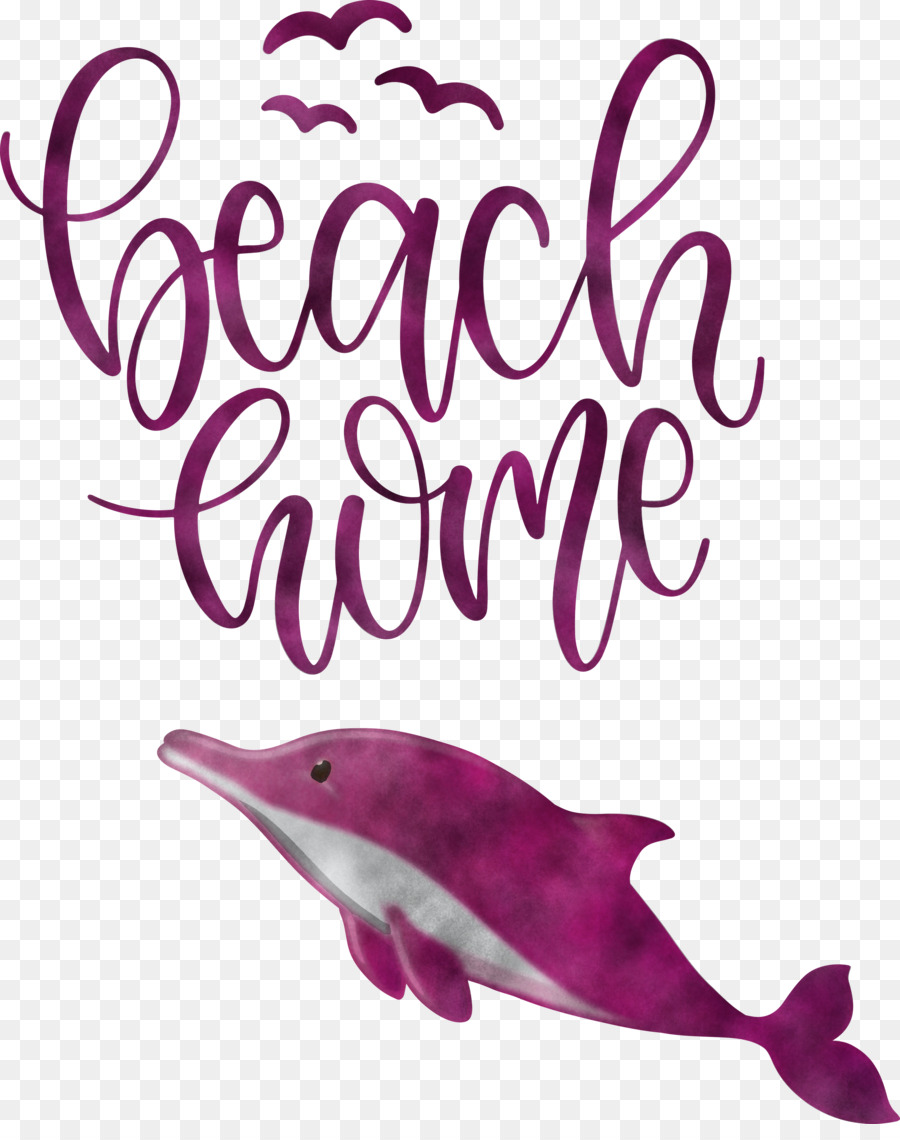 Dolphin，Meter PNG