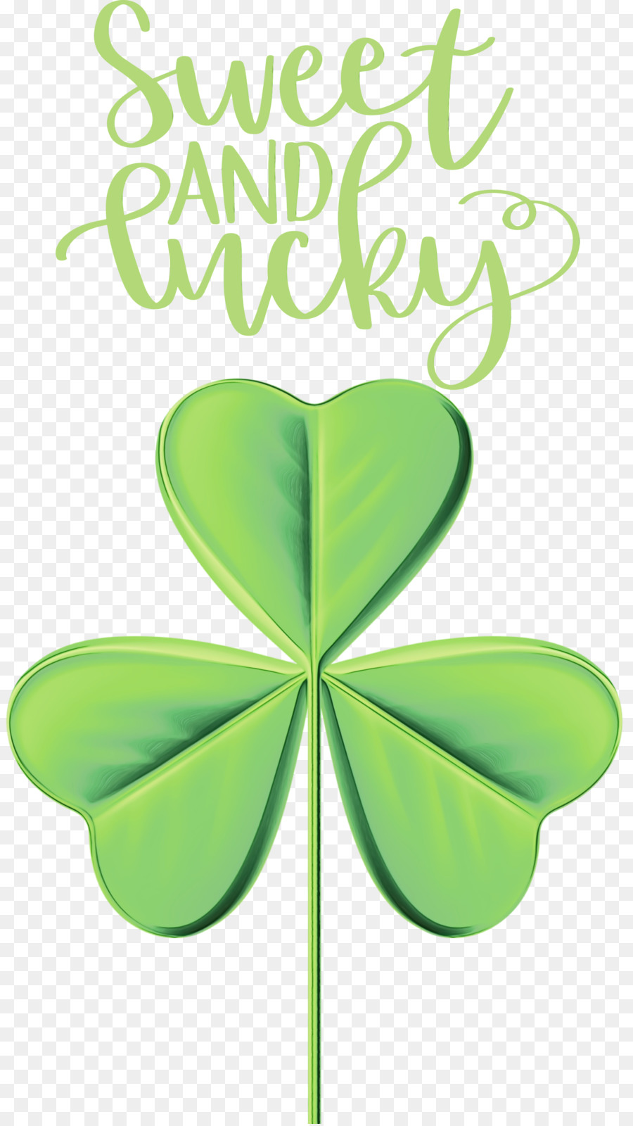 Folha，Shamrock PNG